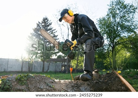 A man in uniform cuts an old tree in the yard with an electric saw