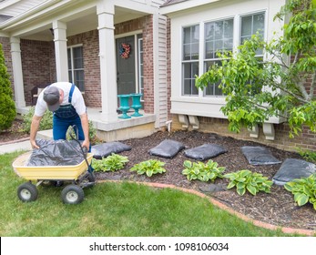 Man Unloading Bags Of Mulch Into A Flowerbed In Front Of His House Ready For Mulching Around The Plants To Control Weeds And Moisture