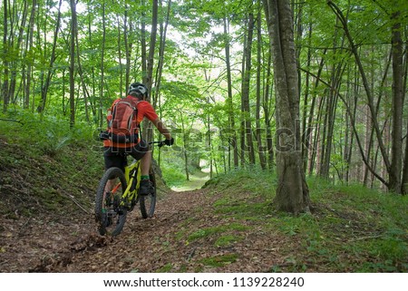 man uses an electric bicycle, e-bike, ebike, pedal on a dirt road, forest, during summer, mountain, sport, adventure, freedom, Alps, Macugnaga, Piedmont, Italy