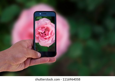 a man uses a smartphone to take a picture. Mobile phone in male hand close-up - Powered by Shutterstock