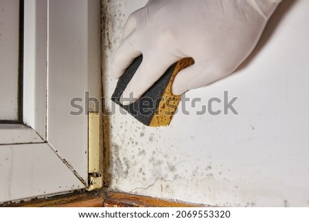 Man uses a sponge to remove stains of toxic mold and fungal bacteria on the wall in the corner near the door. Concept of condensation, moisture. Problems with ventilation. High humidity.
