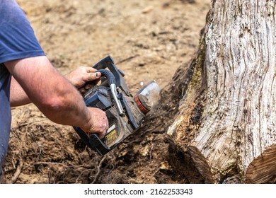 A Man Using A Chainsaw To Cut Out A Tree Stump In A Garden During A Do It Yourself Project