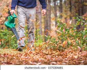 Man Using Electric Powered Leaf Blower To Blow Autumn Leaves From Grass Lawn. Landscape Worker Clearing Fall Leaves From Residential Yard.