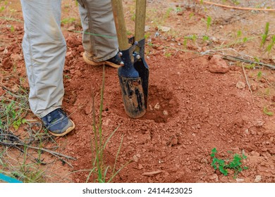 Man using hand post hole digger with digging fence post