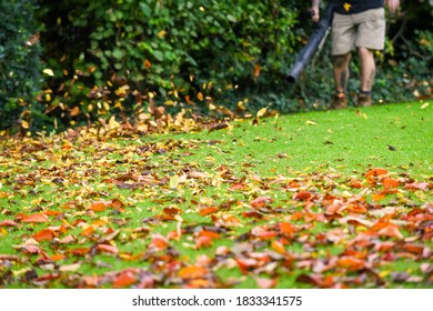 A Man Using A Leaf Blower Machine To Clear Autumn Leaves From A Garden During Fall