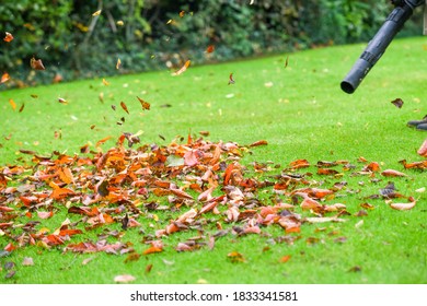 A Man Using A Leaf Blower Machine To Clear Autumn Leaves From A Garden During Fall