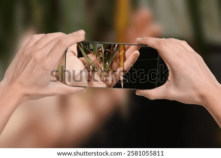 Man using mobile phone to recognize disease of house plant, closeup. Finder app