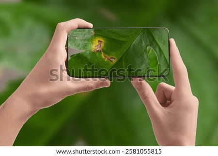 Man using mobile phone to recognize disease of house plant, closeup. Finder app