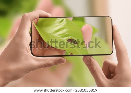Man using mobile phone to recognize disease of house plant, closeup. Finder app