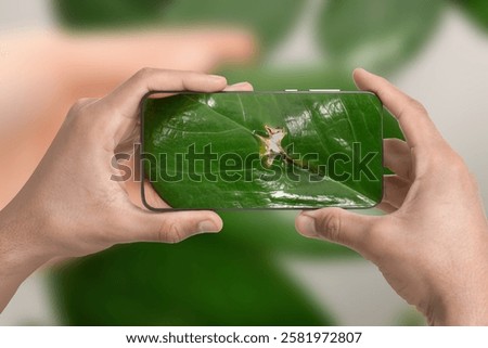 Man using mobile phone to recognize disease of house plant, closeup. Finder app