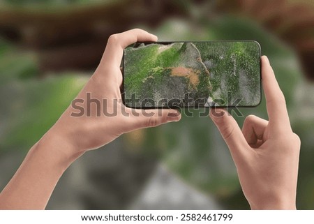 Man using mobile phone to recognize disease of house plant, closeup. Finder app