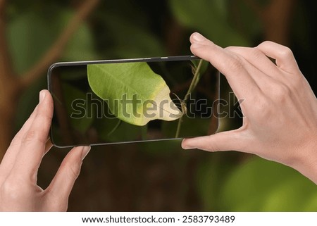 Man using mobile phone to recognize disease of house plant, closeup. Finder app