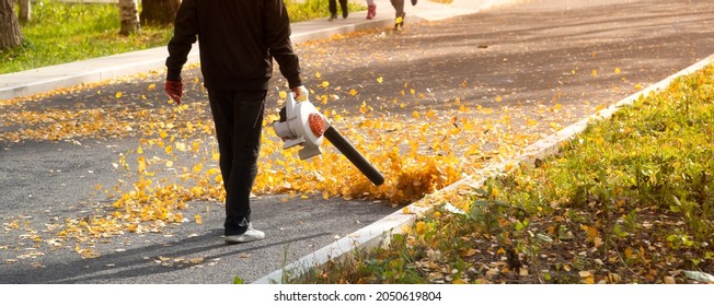 A Man, A Utility Worker, Removes Leaves From The Road With A Special Device.