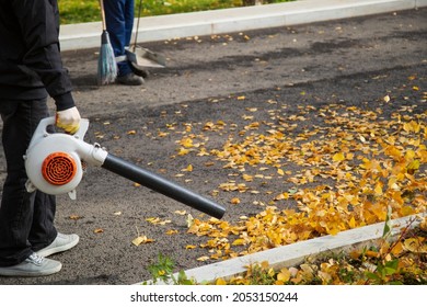 A Man, A Utility Worker, Removes Leaves From The Road With A Special Device.