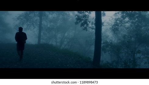Man venturing into the forest