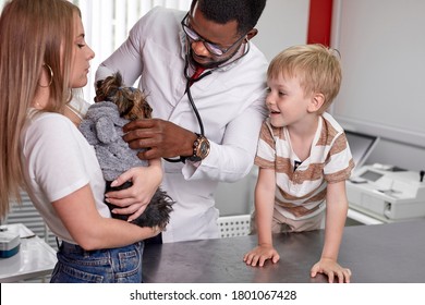 Man Vet Examining Little Dog With Stethoscope In Clinic, Black Veterinarian Doctor Making Checkup Of A Dog