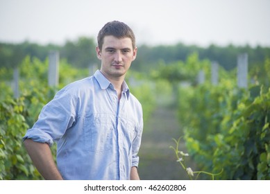 Man in vineyard