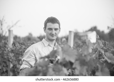 Man in vineyard