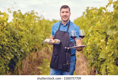 Man in vineyard welcoming tourists with red wine and selection of cheeses – Wine tasting tours concept