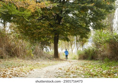 A man walked away along a path in the community forest. Amidst the autumn atmosphere in South Korea - Powered by Shutterstock