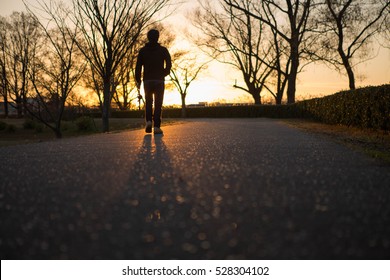 Man Walking Alone Backlit, Sunset