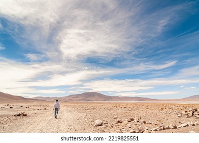 Man Walking Alone In The Bolivian Altiplano