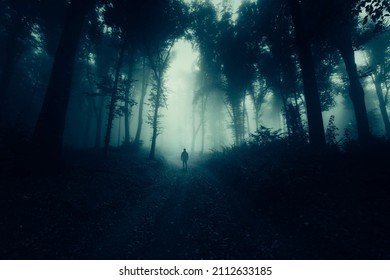 Man Walking Alone On Dark Forest Road At Night