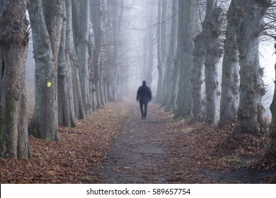 Man Walking Alone In The Woods
