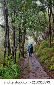 Man Walking Along Levada Dos Balcoes In The Rain