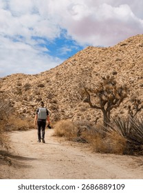 Man walking with camera down a dirt road desert mountains next to large Joshua tree with blue sky clouds. Yucca Valley, California.