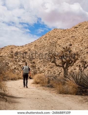 Man walking with camera down a dirt road desert mountains next to large Joshua tree with blue sky clouds. Yucca Valley, California.