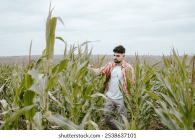 Man Walking in Cornfield Outside