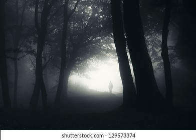 Man Walking In A Dark Forest At Night