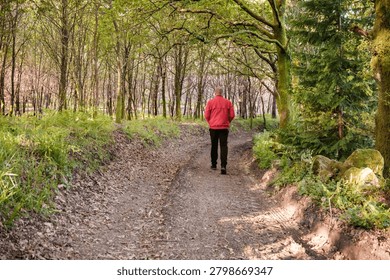 Man walking dirt path through lush green forest enjoying solitude and adventure