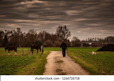 Man Walking Dog Countryside