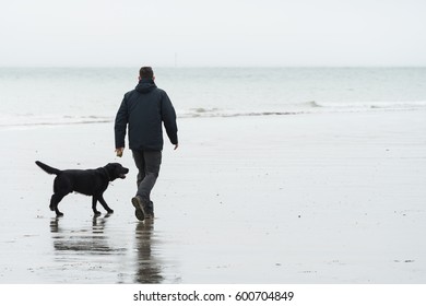 Man Is Walking With Dog On A Foggy Beach