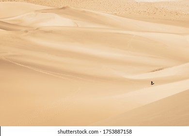 A Man Walking In The Eureka Sand Dunes Beauty In Nature How Tiny A Human Can Be In The Ocean Of Sands