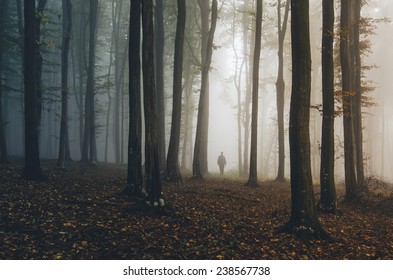 11,741 Ghost Woods Images, Stock Photos & Vectors | Shutterstock