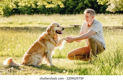 Man Walking Golden Retriever On Leash In Nature