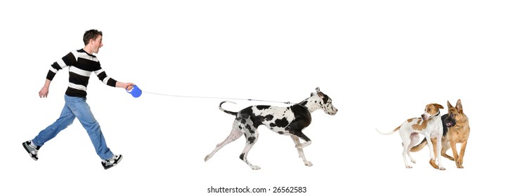 Man walking his dog (Great Dane 4 years) in front of a white background