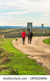 Man Walking With His Dog And His Horse