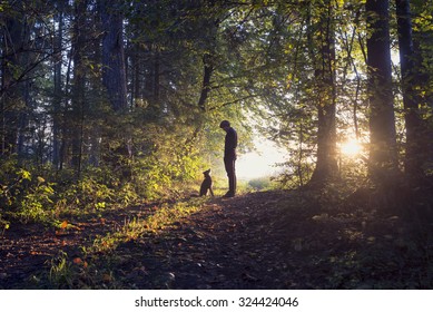 Man walking his dog in the woods standing backlit by the rising sun casting a warm glow and long shadows. - Shutterstock ID 324424046