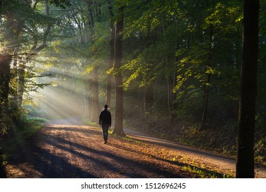 Man walking in a lane with the sunlight breaking through the trees. - Powered by Shutterstock