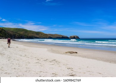 45 Allan beach dunedin Images, Stock Photos & Vectors | Shutterstock