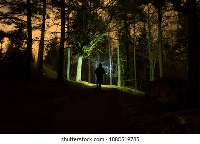 Man Walking At Night In Swedish Forest With Flashlight. 