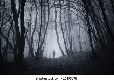 man walking on a dark path through a spooky forest