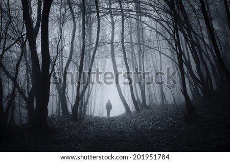 man walking on a dark path through a spooky forest