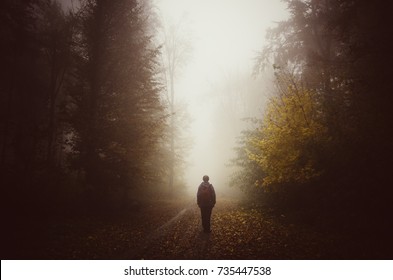 man walking on forest path on rainy day