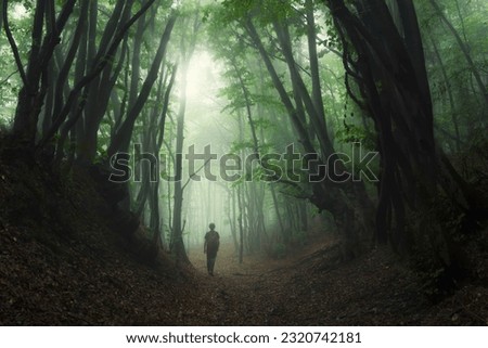 man walking on green forest path through fog