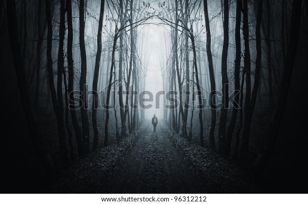 霧が立ち込めた奇妙な暗い森の中の道を歩く人 の写真素材 今すぐ編集 96312212